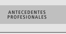 Antecedentes profesionales