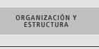 Organizacin y estructura